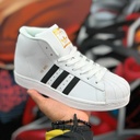 Adidas Pro Model