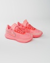 Lebron XX