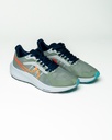 Pegasus 39x