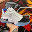 Lebron XIX Low